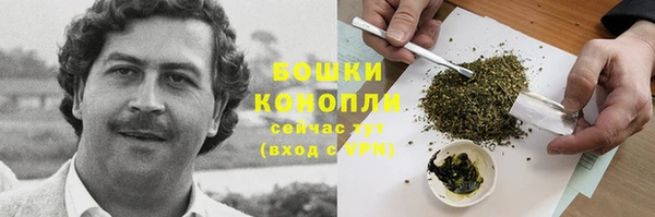 apvp Богородск
