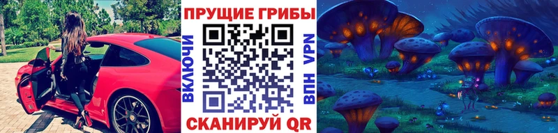 где найти   Новороссийск  Псилоцибиновые грибы прущие грибы 