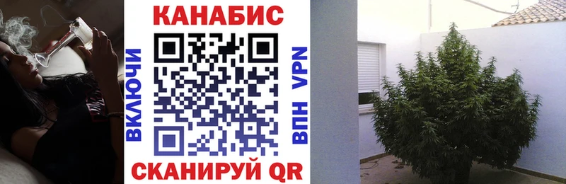 Шишки марихуана VHQ  Новороссийск 